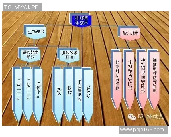 深圳排球队在挑战赛中的战术表现分析与点评探讨