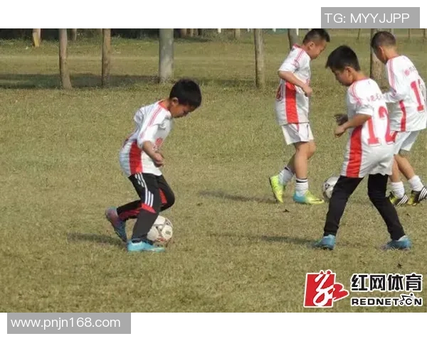 深圳足球队心理素质排名第七引发关注球队表现备受期待