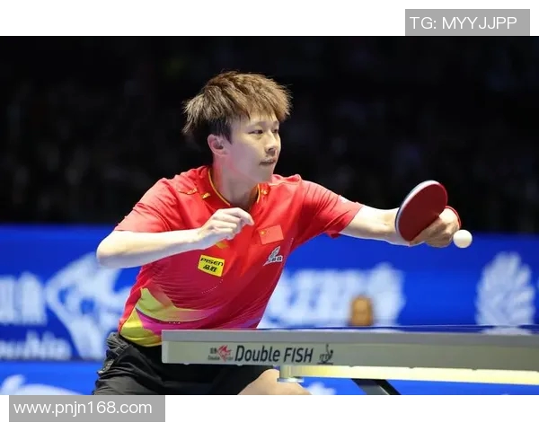 南京乒乓球队的转型之路与深度解析乒乓球运动的未来发展